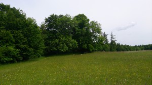 DSC_1255